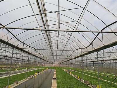 種植溫室大棚